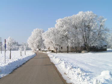 Wintereinkehr