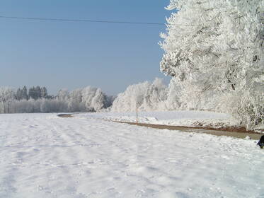 Nachbarwiese im Schnee II