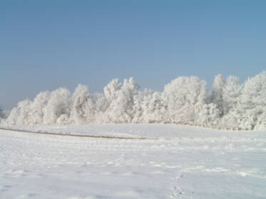 Nachbarwiese im Schnee