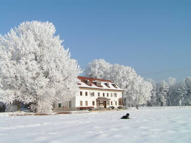 Starkheim mit Zuckerguß